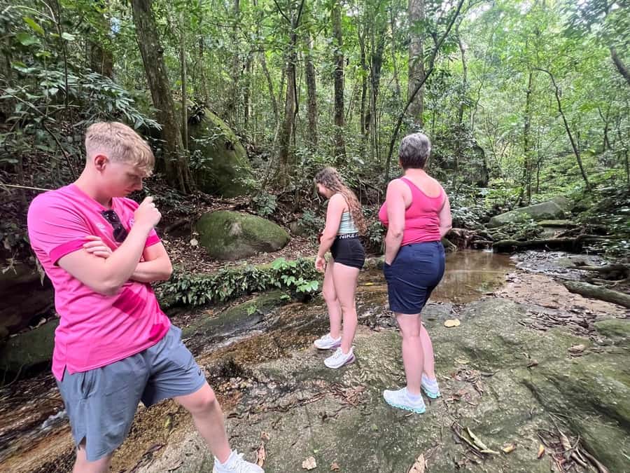 2 Days Private Tour in Rio de Janeiro - Lunch breaks that respect different diets