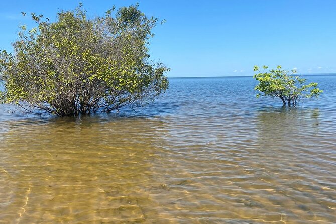 8day expedition of scenic beauty and Amazon traditional culture on Tapajós River - Key highlights worth planning around