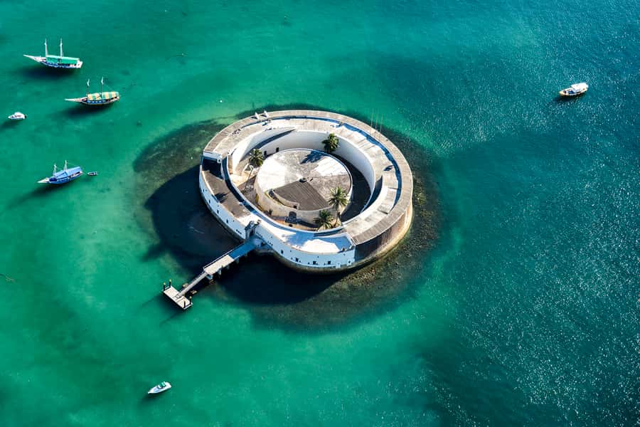 Afro-Brazilian Roots Private City Tour in Salvador - Key highlights to know before you go