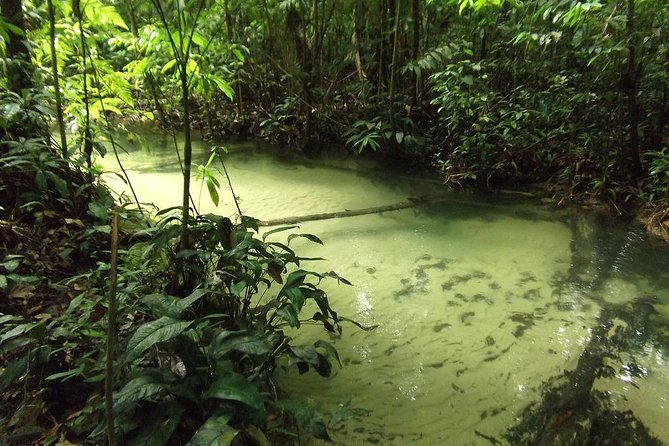Alter do Chão FLONA Jamaraquá Tour - Why Alter do Chão plus FLONA Jamaraquá works so well