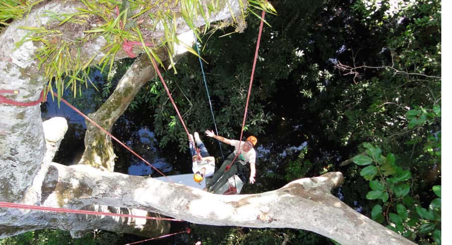 Amazon Jungle 3-Hour Tree Climbing Activity - Rope Climbing on Inspected Trees: What You’re Really Paying For