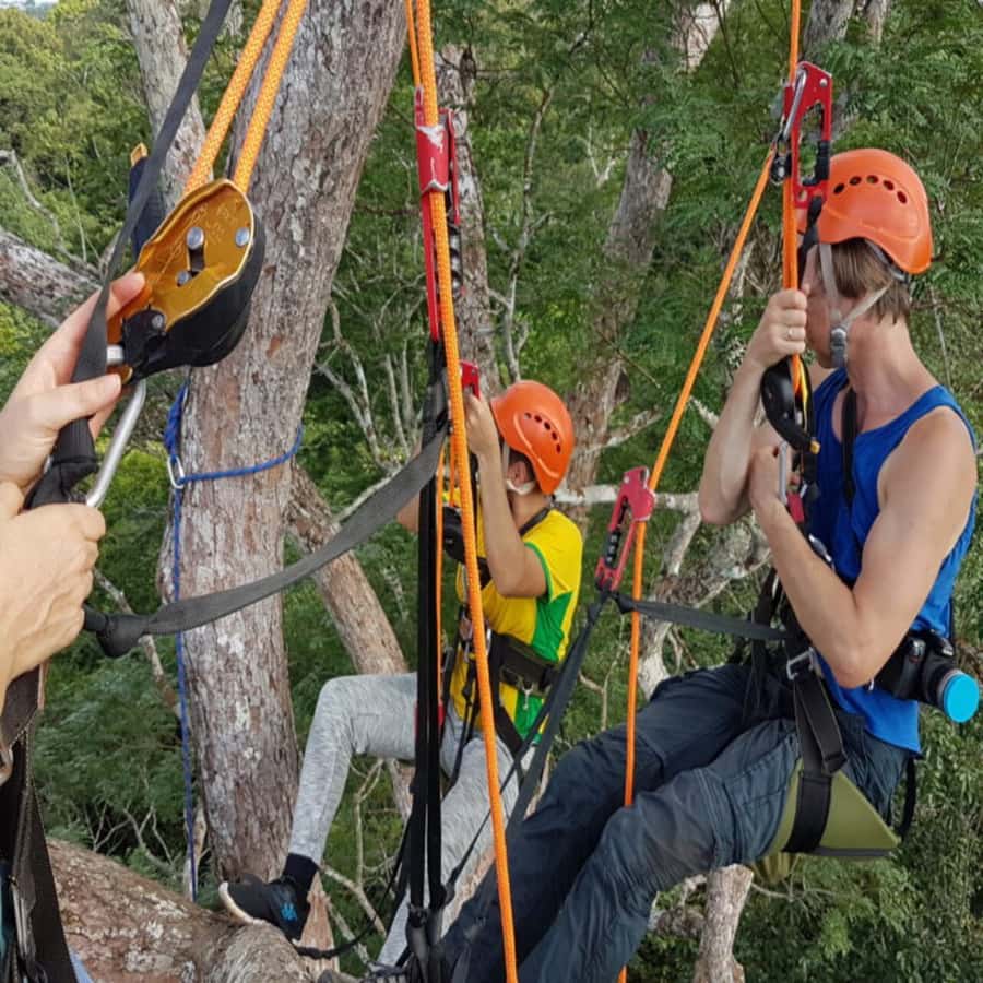 Amazon Jungle 3-Hour Tree Climbing Activity - Should You Book It? My Practical Recommendation