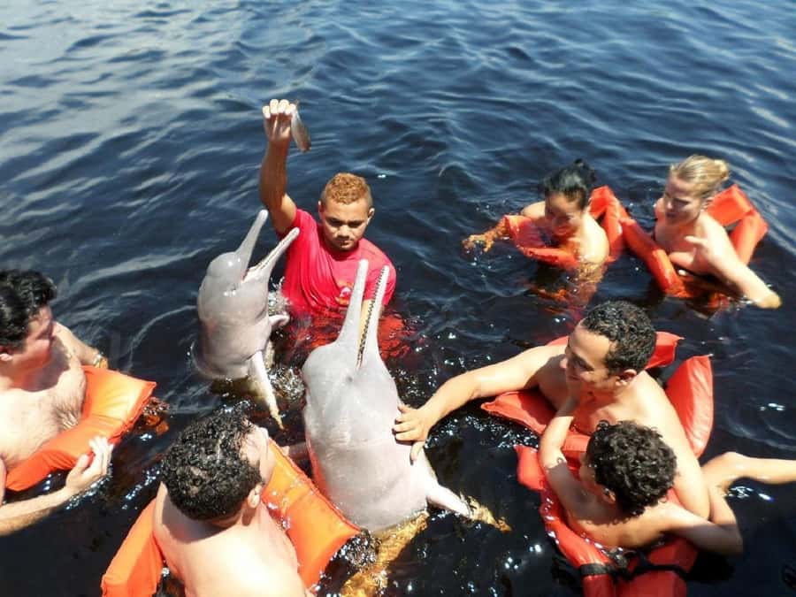 Amazon Safari® Manaus: Day trip on the Amazon River - Meeting of the Waters in Manaus, where the day’s meaning starts