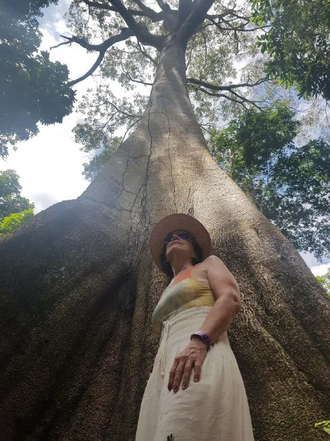 Amazon Safari® Manaus: Day trip on the Amazon River - Indigenous community visit, ritual welcome and cultural context