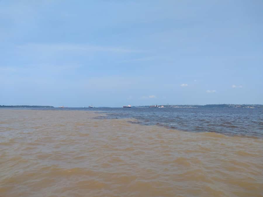 Amazon Safari® Manaus: Day trip on the Amazon River - Janauari Ecological Park and a floating crafts fair, the Amazon you can touch