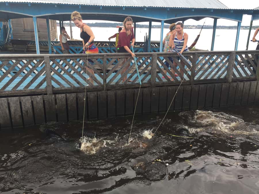 Amazonas: Boat Ride with a Local Amazonian - Why this 3-hour Amazonas boat ride feels like a mini adventure