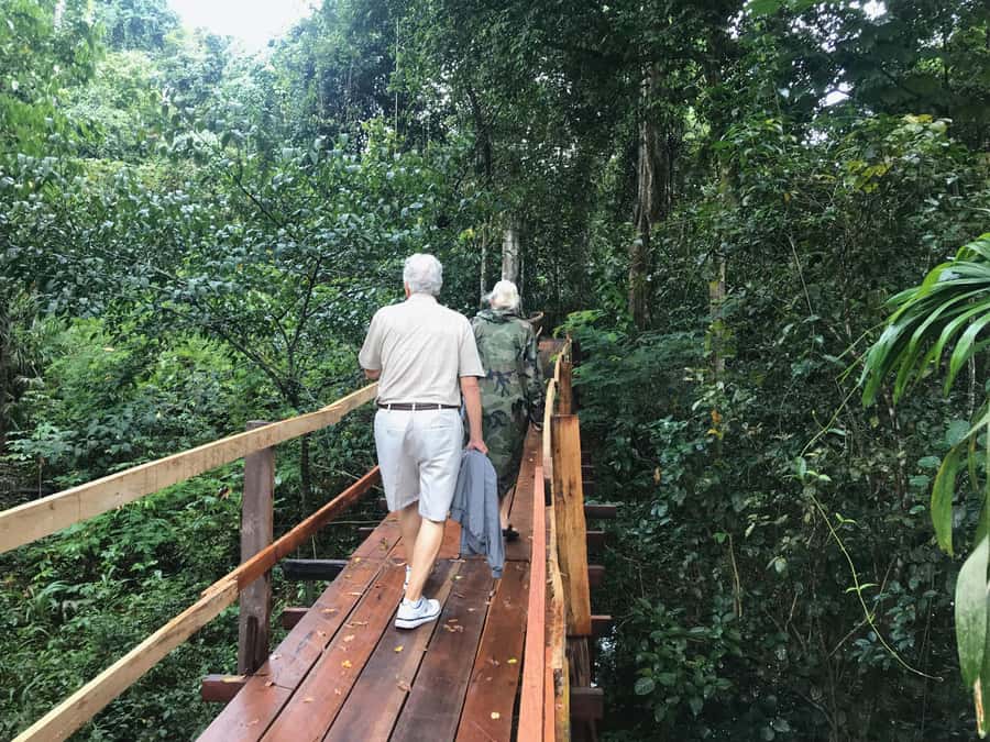 Amazonas: Boat Ride with a Local Amazonian - The meeting of two rivers: color, temperature, and the thrill of feeling it