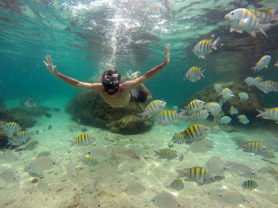 Angra dos Reis and Ilha Grande: Small-Group Fast-Boat Tour - Snorkeling, underwater photos, and what’s actually provided