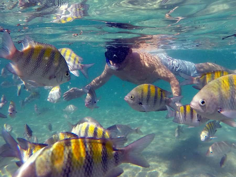 Angra dos Reis and Ilha Grande: Small-Group Fast-Boat Tour - The guide team, and why small-group energy makes a difference