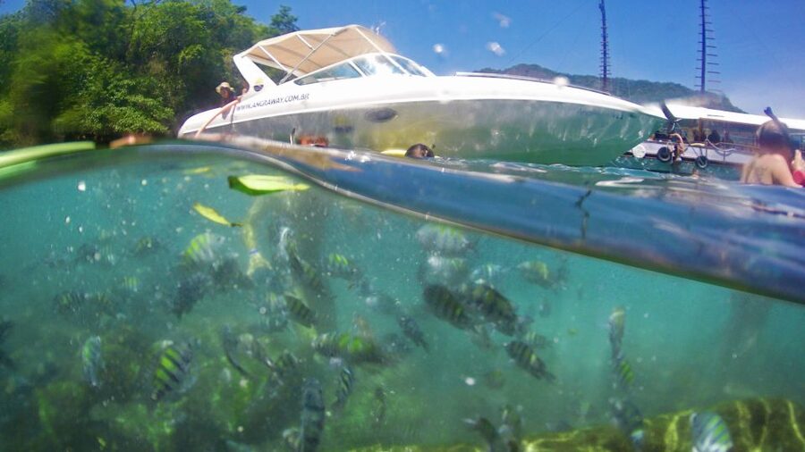 Angra dos Reis: Super Lagoa Azul Speedboat Tour - Lagoa Azul natural aquarium: the highlight, plus the biggest practical catch