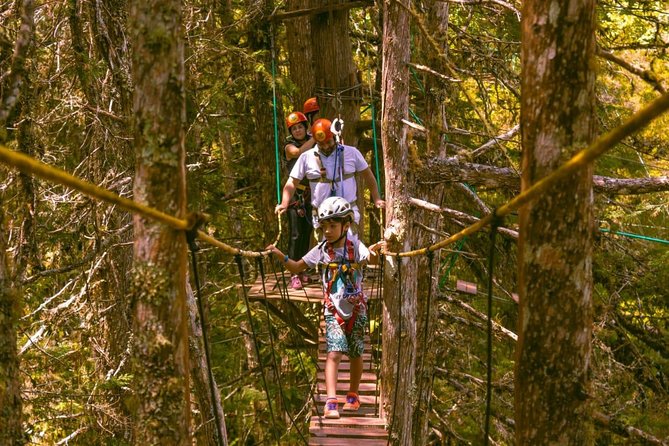 Arborismo in Horto Florestal - Campos Do Jordão - Key things that make this tour worth a look