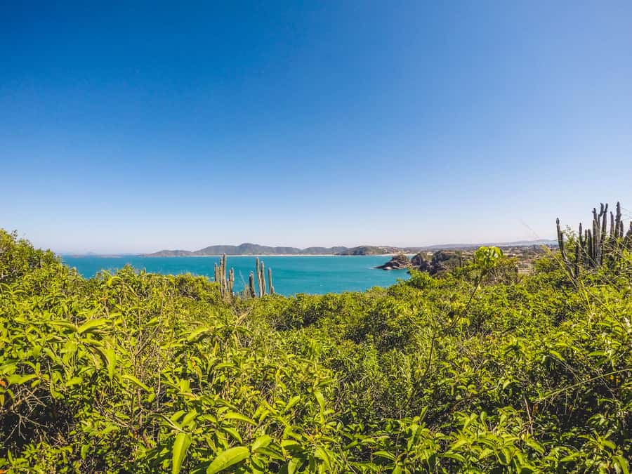 Armação dos Búzios: Walk Through the Natural Pools in Búzios - The bottom line, should you book this natural pools walk
