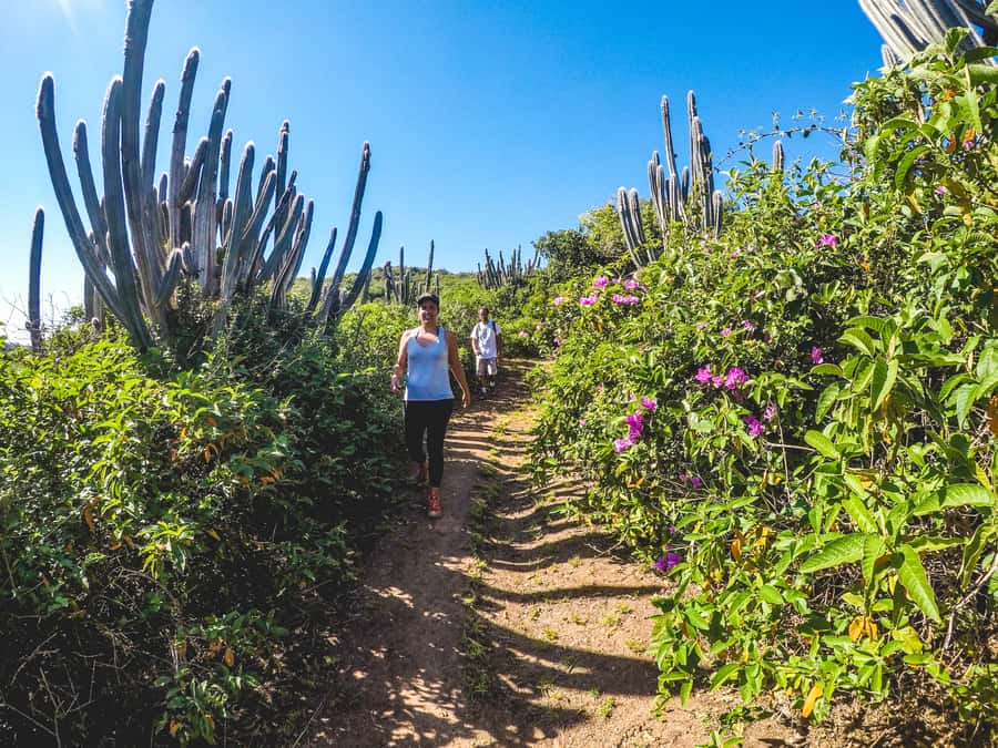 Armação dos Búzios: Walk Through the Natural Pools in Búzios - The walking route: distance, timing, and why the guide’s pace matters