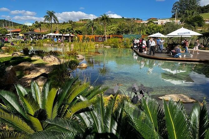 Art Of Wine – Travel Through The So-Called Wine Route Visiting Various Wineries - How the best guides make this feel personal, not rushed