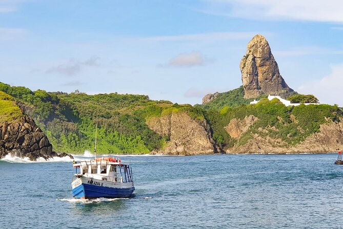 Baia do Sancho Boat Tour - Key things I’d zero in on before you book