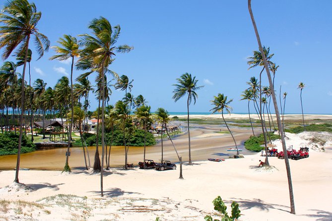 Barra de Punaú Tour - Departing from Natal - Key Things That Make This Tour Worth Your Time