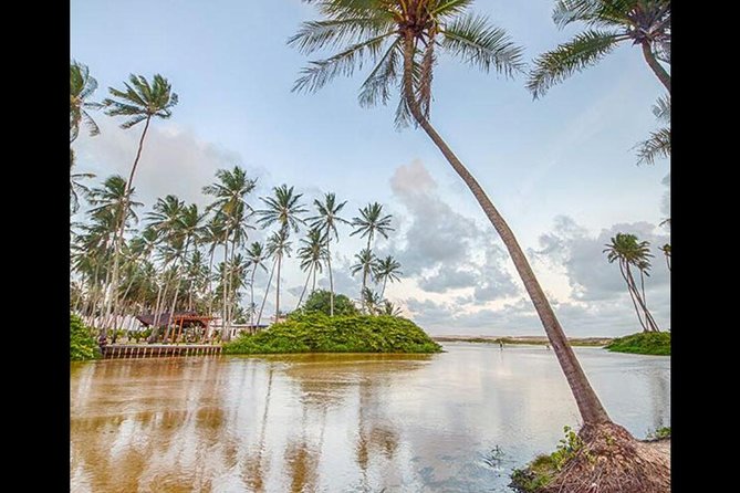 Barra de Punaú Tour - Departing from Natal - Who Should Book the Barra de Punaú Tour (and Who Might Not)