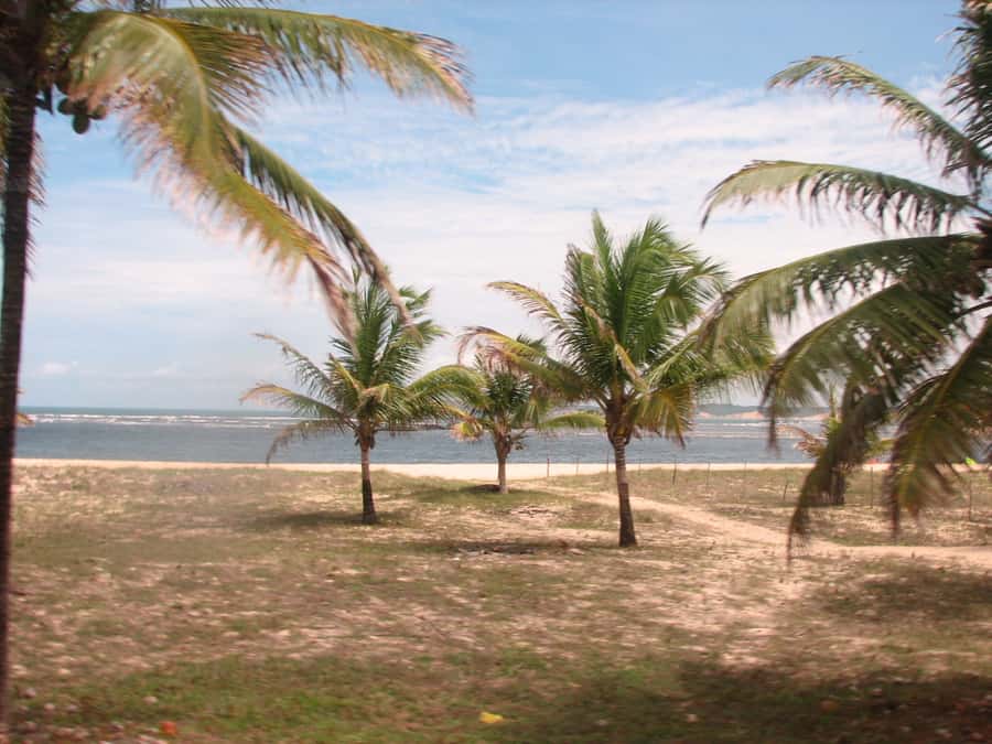 Barra do Cunhaú Full-Day Trip from Natal - Key things that make this tour worth your time