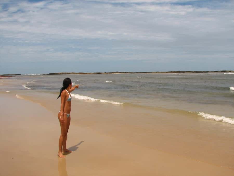 Barra do Cunhaú Full-Day Trip from Natal - The Curimataú River catamaran ride, mangroves plus active crab fishing