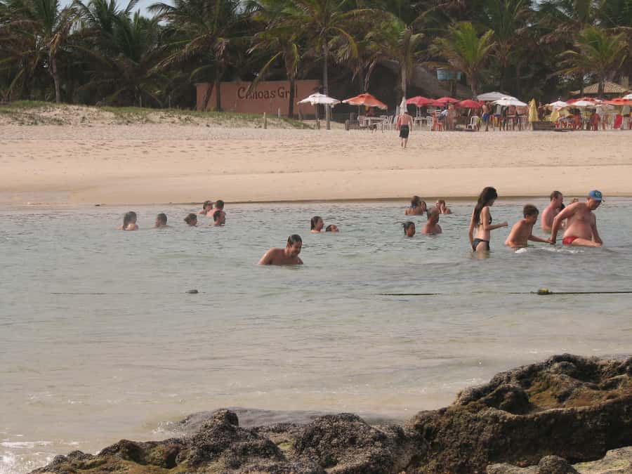 Barra do Cunhaú Full-Day Trip from Natal - Cunhaú Beach free time, reef-influenced natural pools and warm sand