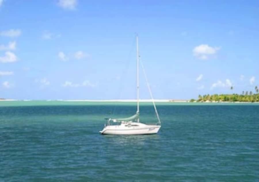 Barra do Cunhaú Full-Day Trip from Natal - Lunch on your own at the seaside stalls, plan for seafood
