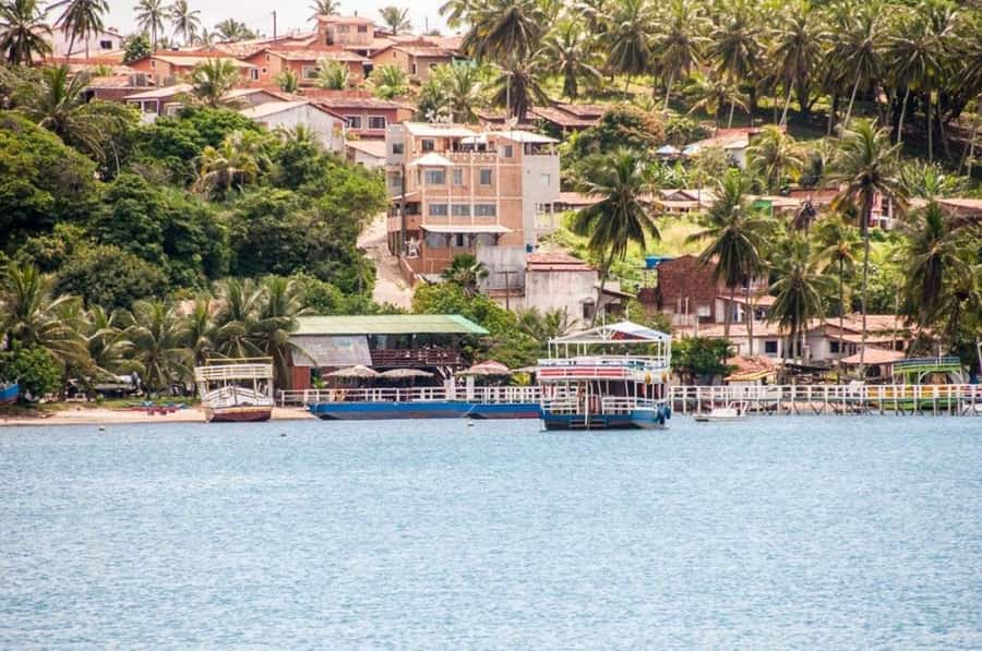 Barra do Cunhaú Full-Day Trip from Natal - Price and value: why $72 can work for a full-day river day