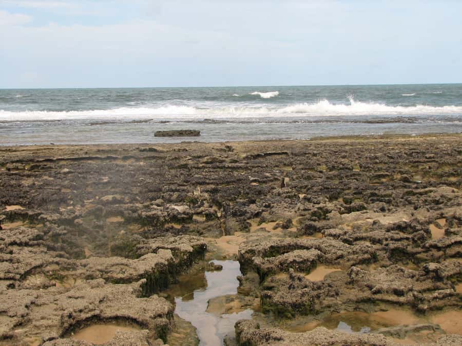 Barra do Cunhaú Full-Day Trip from Natal - Entering Cunhaú, where shrimp farms meet river and sea