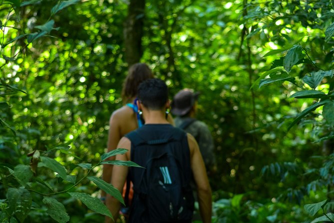 Bathing in the Forest Trail in Foz do Iguaçu - Your route in Iguaçu National Park: Canafístula plus Circuit São João