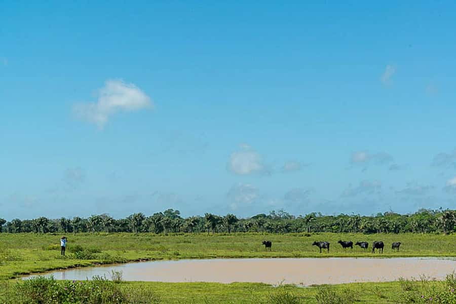 Belém: 2, 3 or 4-Day Marajó Island Excursion with Lodging - Joanes Village, Salvaterra, and the Caruana Institute for ritual and place