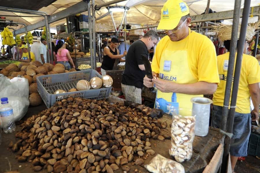 Belém: Half-Day City Tour with Ver-o-Peso Market Visit - Your 4 hours in Belém: why the pacing usually works