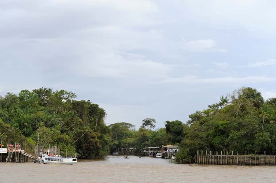 Belém: Half-Day Furos Boat Tour & Riverside Community Visit - Key Things I’d Highlight Before You Go
