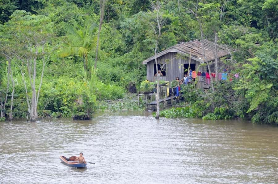 Belém: Half-Day Furos Boat Tour & Riverside Community Visit - Combú Island and the Furos: The Amazon’s Natural Channel System