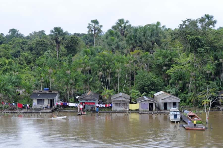 Belém: Half-Day Furos Boat Tour & Riverside Community Visit - Price and Value: Is $58 a Good Deal in Belém?
