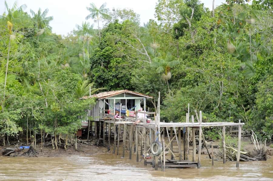 Belém: Half-Day Furos Boat Tour & Riverside Community Visit - The Speedboat Ride: What You’ll See Between Belém and Combú