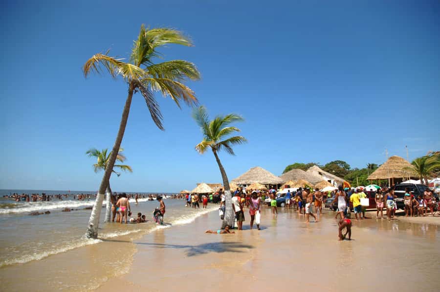 Belém: Marajó Island Day Trip with Buffalo Farm Visit - Marajó Island from Belém, the long river start that sets the tone