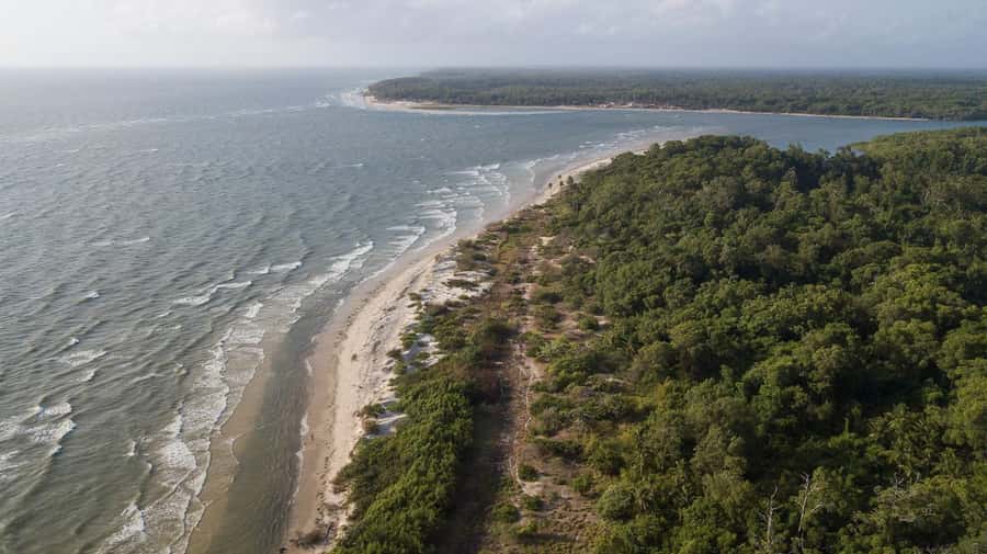 Belém: Marajó Island Day Trip with Buffalo Farm Visit - Souré to Pesqueiro Beach, Araruna farm plus crafts and a buffalo-shaped morning