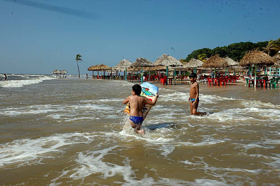 Belém: Marajó Island Day Trip with Buffalo Farm Visit - Price and value at $160 per person, what you get and what costs extra