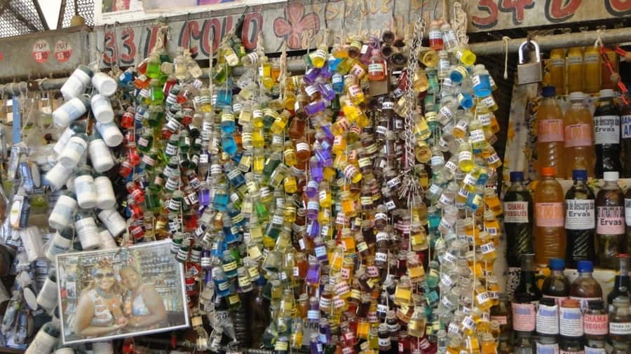 Belém: Ver-o-Peso Market and Full-Day City Tour with Lunch - Who Should Book This Belém Tour