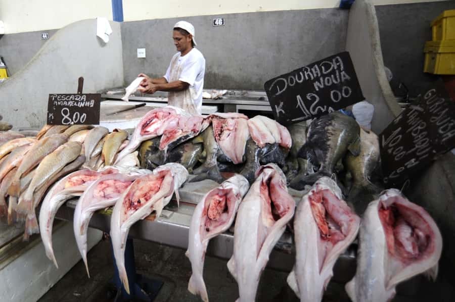 Belém: Ver-o-Peso Market and Full-Day City Tour with Lunch - Forte do Presépio and Encontro Museum: Where Belém’s Story Starts