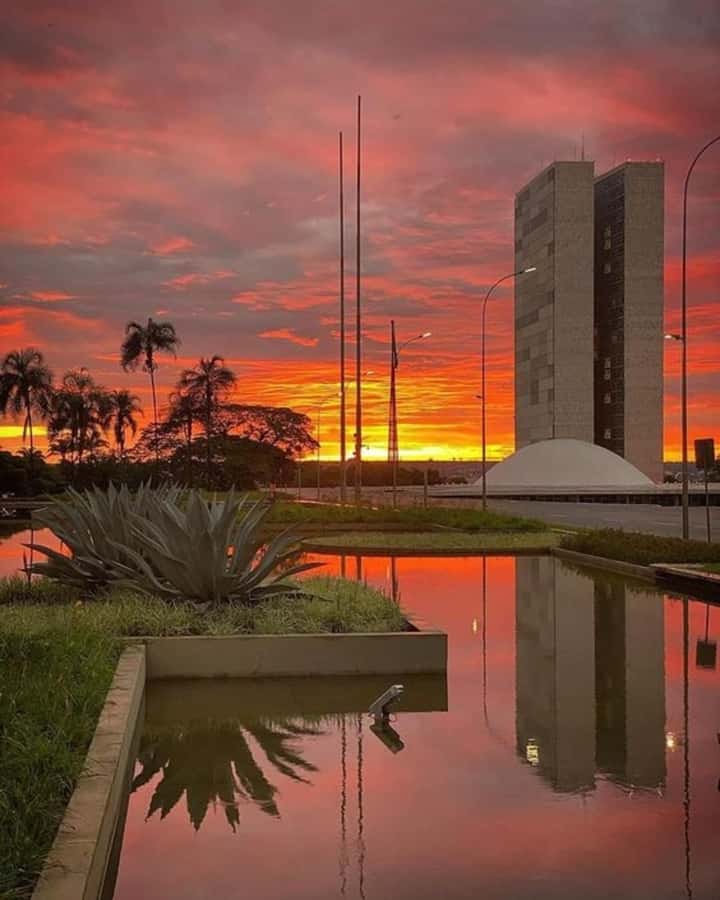 Brasilia : Private Custom Tour with a Local Guide - Private Pickup and a Walking-Plus-Transit Pace
