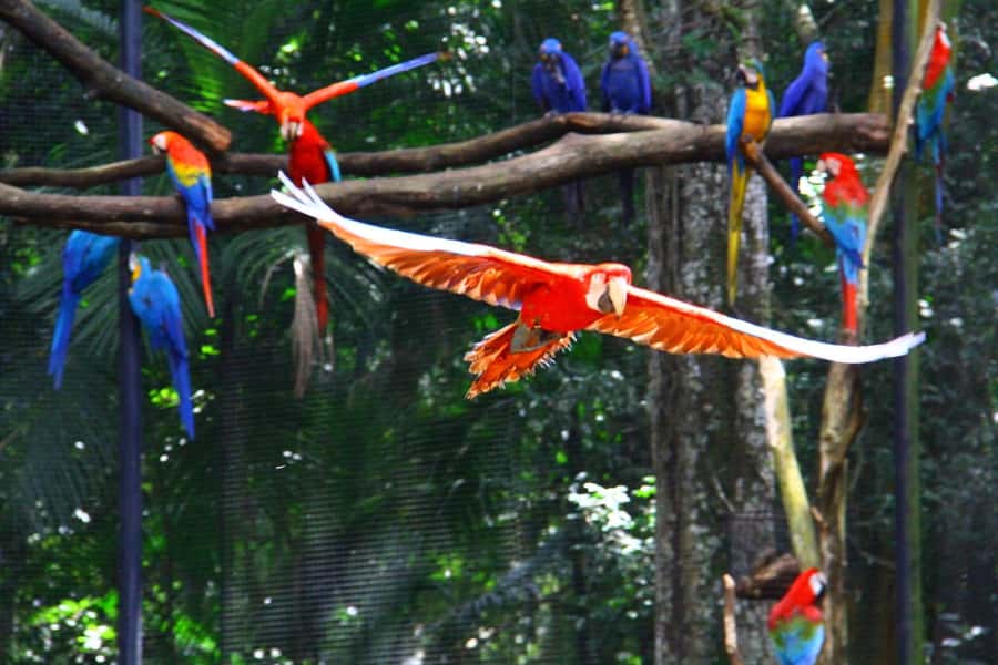 Brazilian Falls, Bird Park and Itaipu Dam - How the day runs, in real time (8 hours, three big sights)