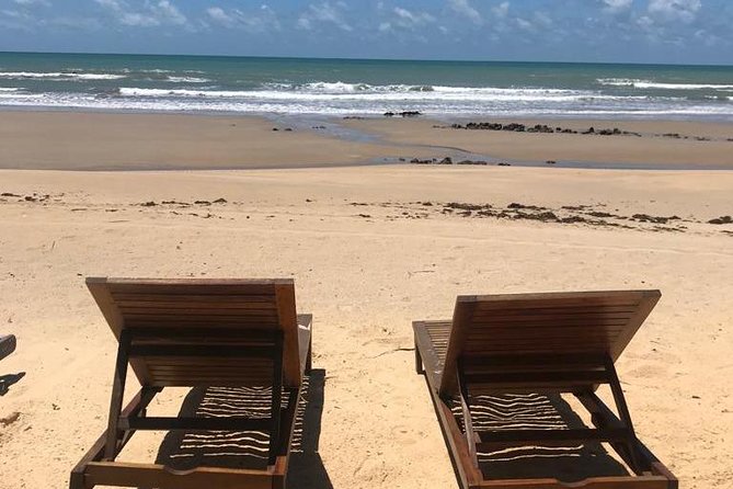 Buggy Ride - Genipabu + North Coast to Jacuma - What to bring for dunes, wind, and a beach finish