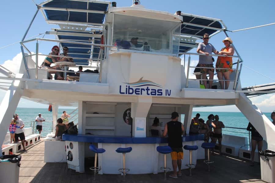 Búzios: Catamaran Boat Tour - Who Should Book This Catamaran Tour, and Who Should Skip