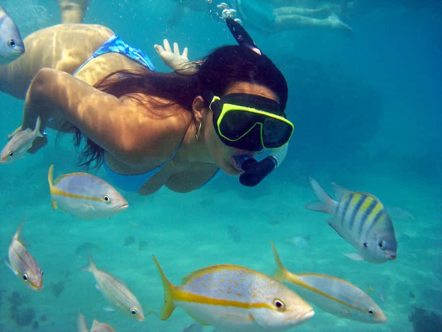 Búzios Day Trip from Rio de Janeiro - Búzios in a Single 12-Hour Loop: What You Really Get