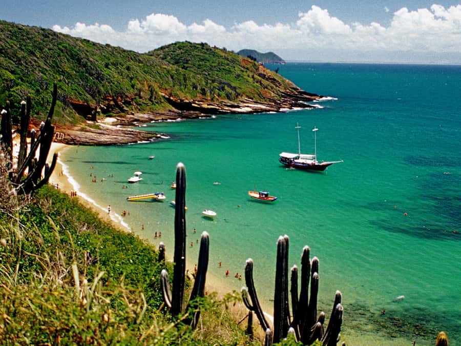 Búzios Day Trip from Rio de Janeiro - Getting From Rio to the Peninsula: Pickup, Bus Time, and Comfort