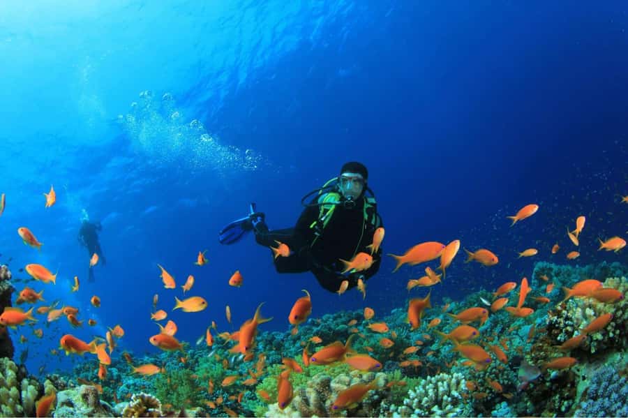 Buzios - DIVING EXPERIENCE - Key highlights worth planning for