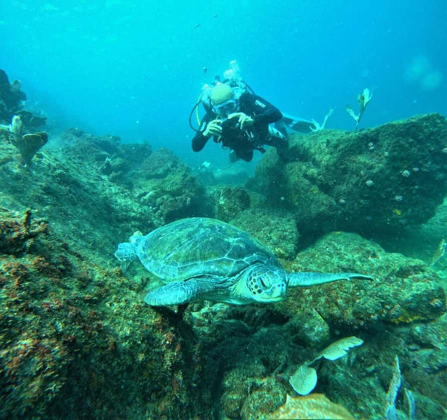 Buzios - DIVING EXPERIENCE - 3 hours total, with 1.5 hours of class on land