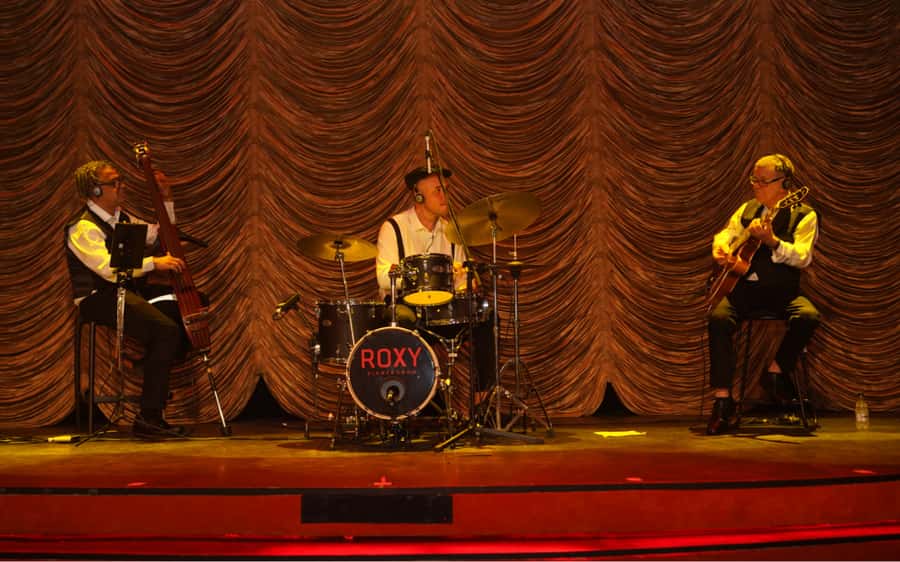 By Night Tour: Roxy Dinner Show & Transfer - Who should book this and who should consider alternatives