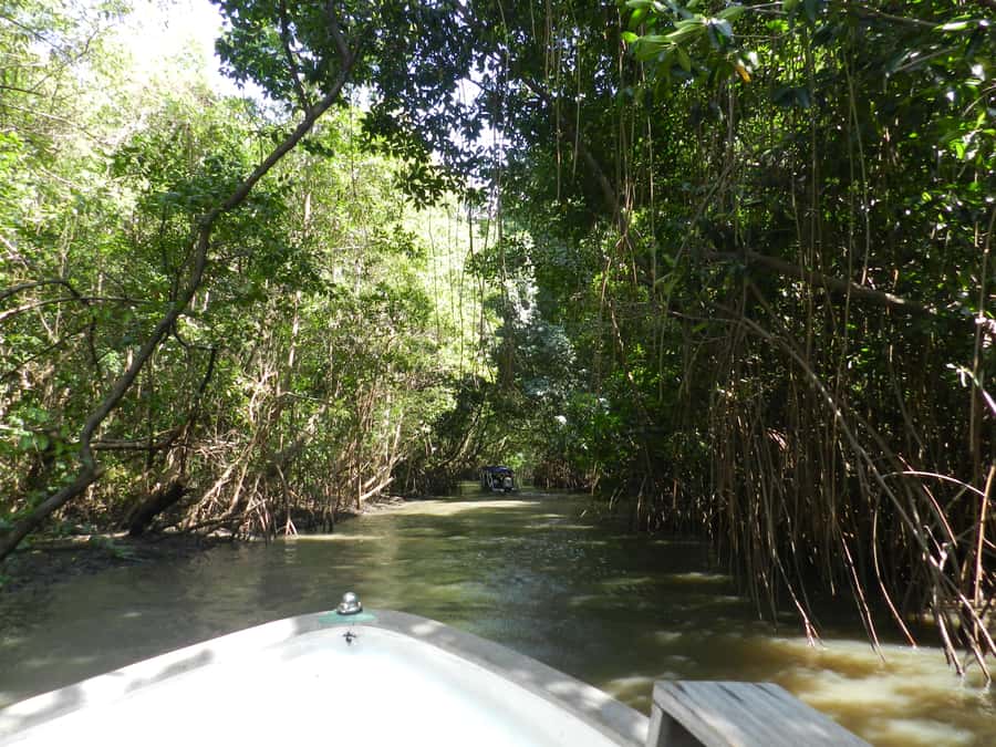 Caburé - Boat tour on the Rio Preguiças - Setting off from Barreirinhas: transfers and timing that matter