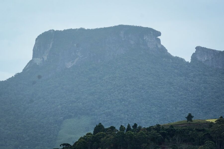 Campos do Jordão: Full-Day Private Tour from São Paulo - Lunch Stops: German Comfort Food and Local Trout Suggestions